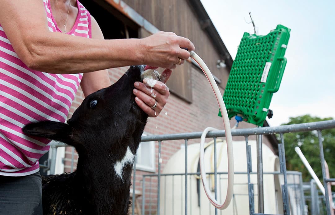 Foto: Jan Willem Schouten