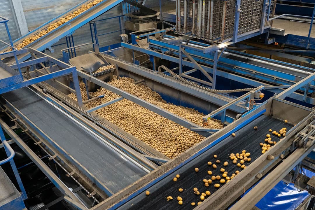 Verwerking van aardappelen bij Aviko in Steenbergen (Gld.). - Foto: Jan Willem Schouten