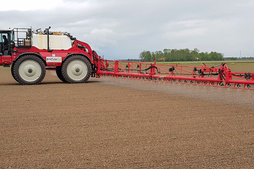 Begin mei zijn de roofaaltjes gespoten op het demoperceel uien. De bodemtemperatuur had toen de 12 graden bereikt en de grond was vochtig; ideale omstandigheden voor deze toepassing. - Foto's: Profytodsd
