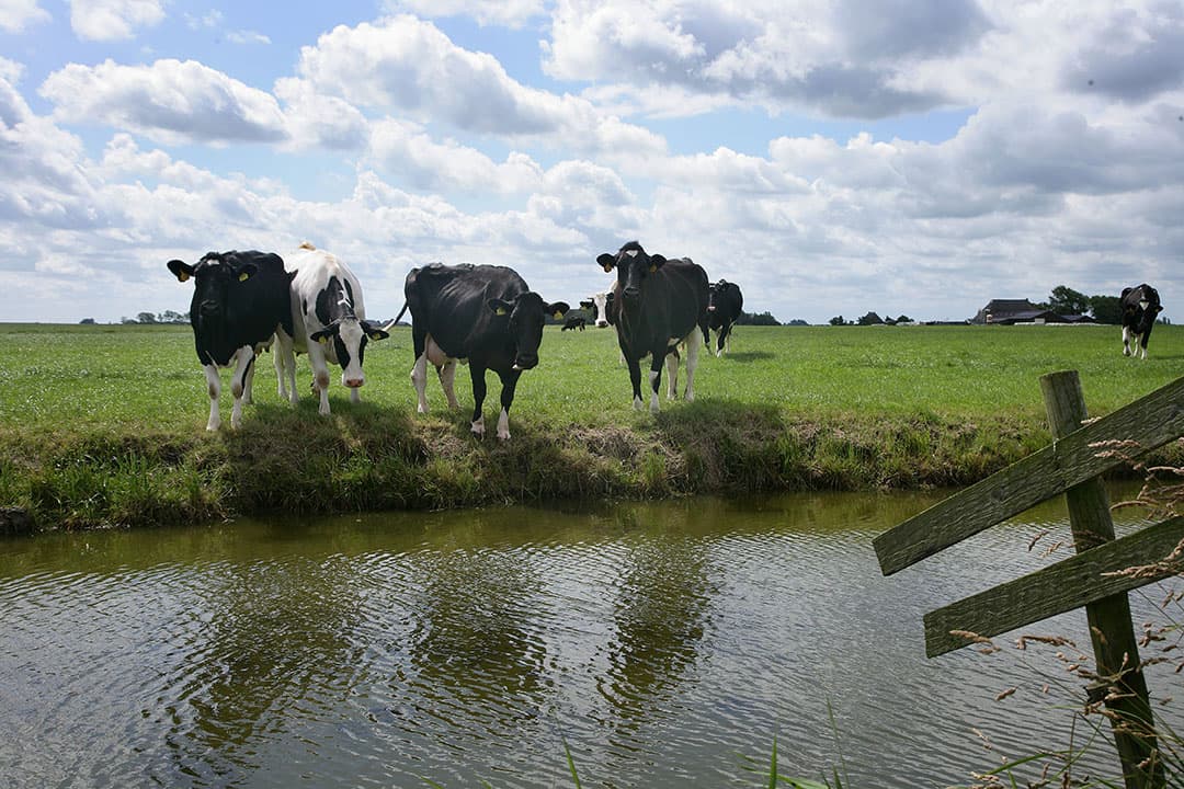 Foto: Hans Prinsen