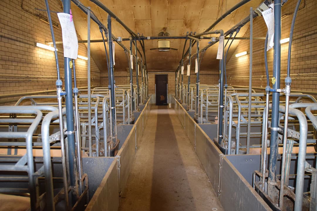 Foto: Jeroen van den Akker