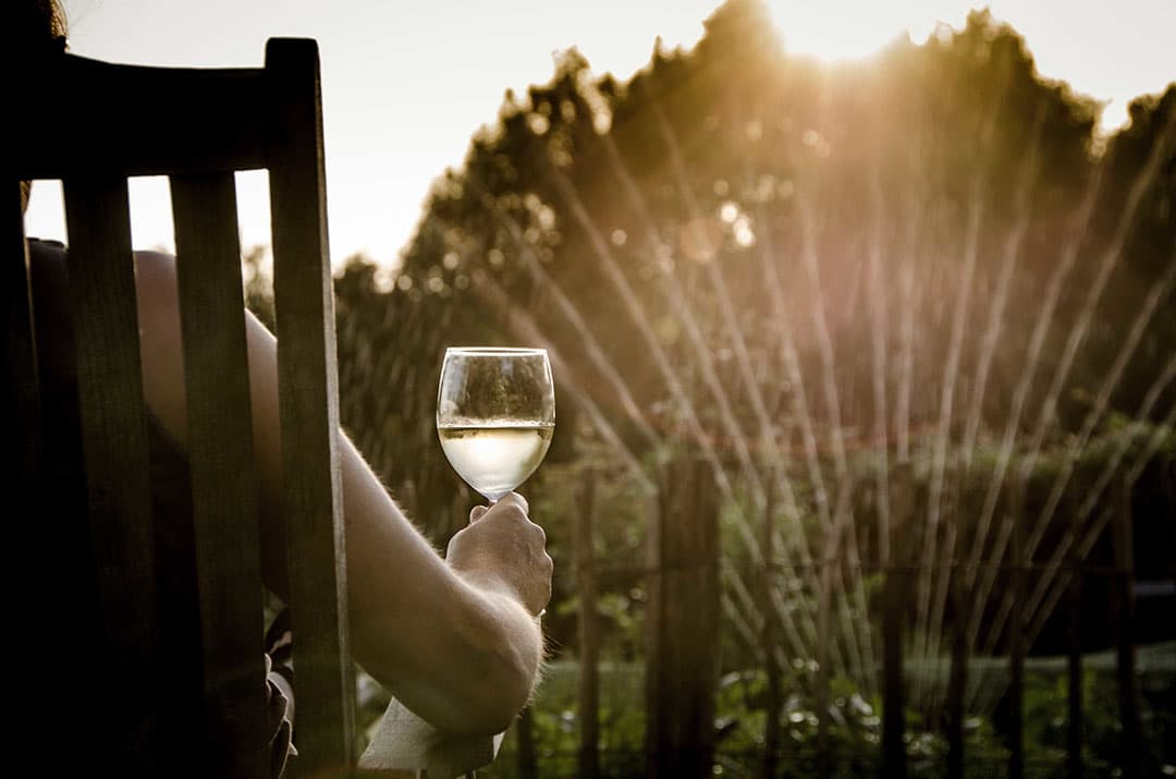 Foto: Canva/Skitterphoto