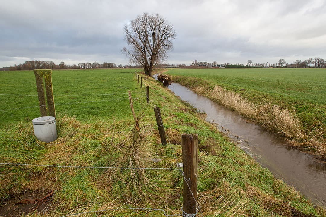 Foto: Peter Roek
