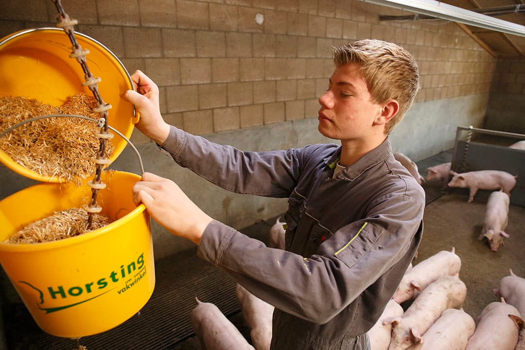 Foto: Hans Prinsen