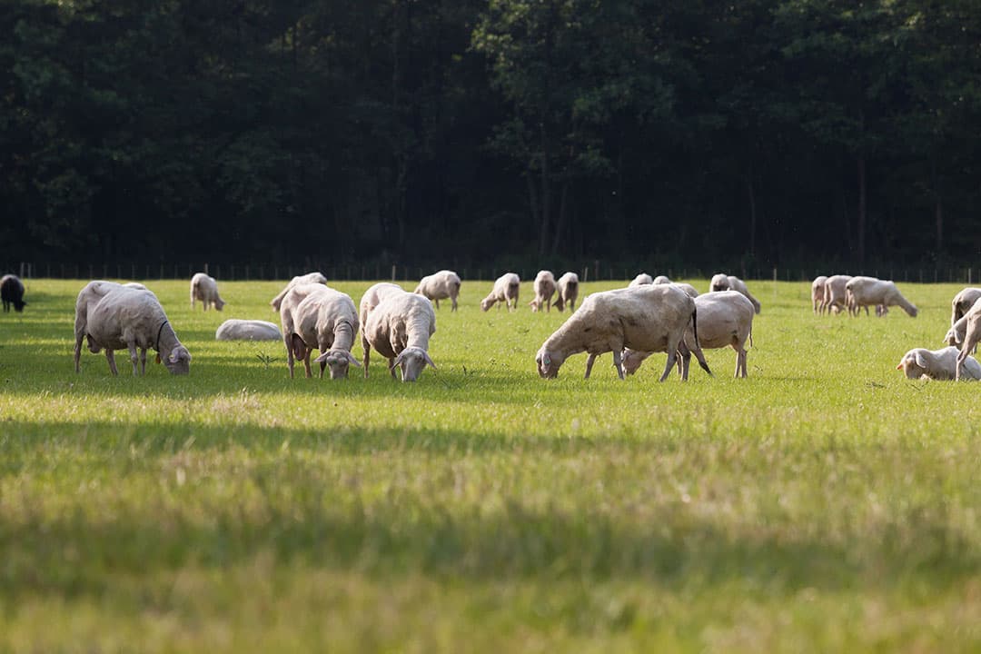 Foto: Joris Telders