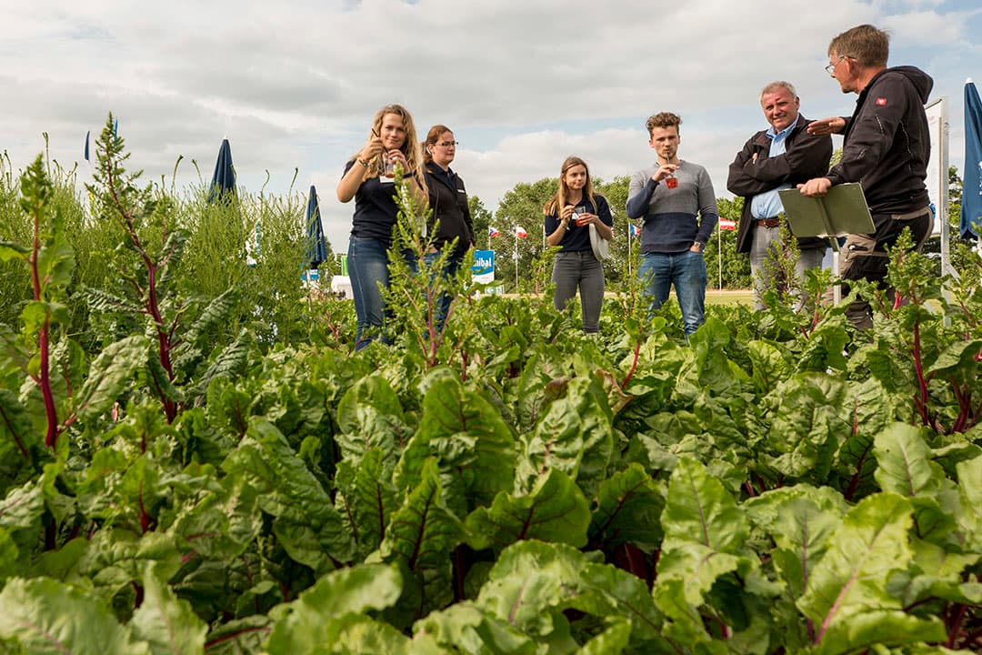 Een impressie van de DLG-Feldtage zoals deze in 2018 plaatsvond. - Foto: Koos Groenewold