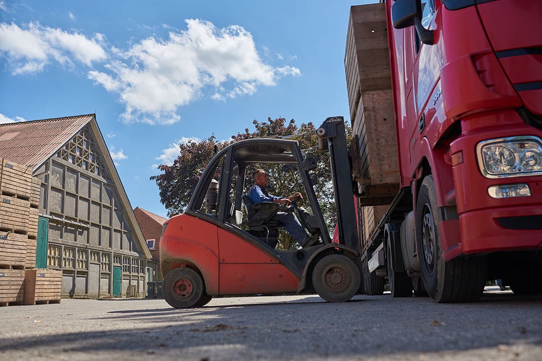De heftruck wordt niet per se groter, wel slimmer. Elektrisch wint terrein, maar diesel is nog niet vergeten. - Foto: Michel Velderman