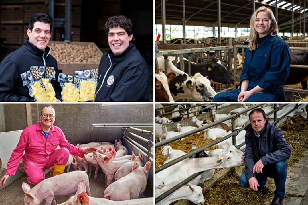 Pasen 2020: Op zoek naar een eerlijke prijs
