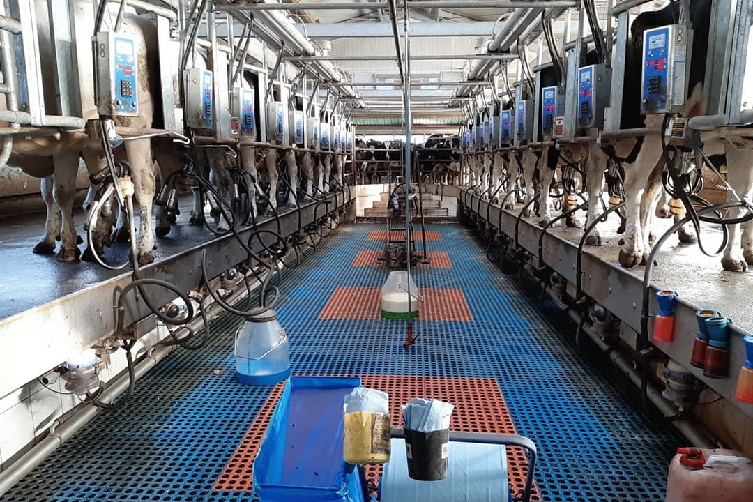 Foto: Agro Emigratie & Investeren