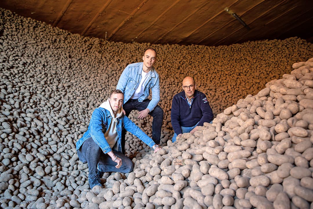 Akkerbouwbedrijf Trouw heeft 3.000 ton Innovator- en Ramos-fritesaardappelen in voorraad. Van links naar rechts: Lars Trouw (24), Johan Trouw (25) en Kees Trouw (55). - Foto: Peter Roek
