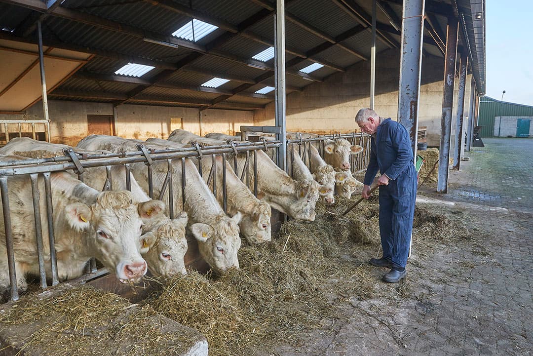 Foto: Van Assendelft Fotografie
