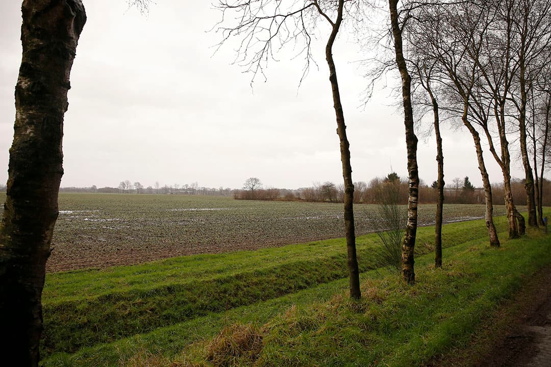 Pachtgrond in Oost-Nederland (archiefbeeld). - Foto: Hans Prinsen
