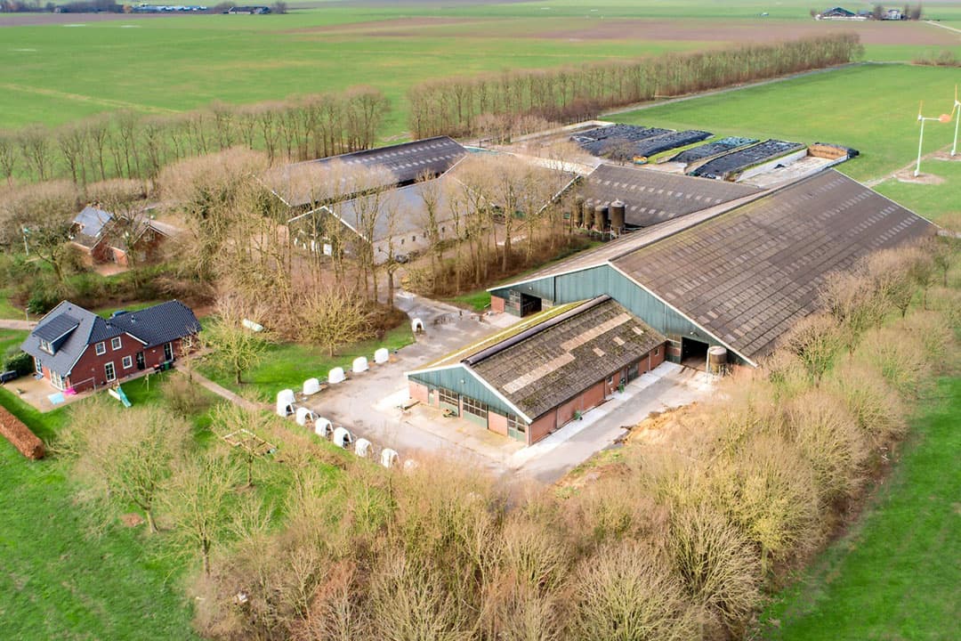 Foto: Martijn Heemstra