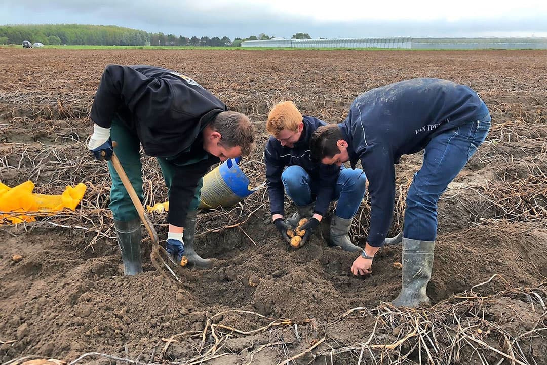 De ervaringen met variabel planten waren vorig jaar dusdanig goed dat Peter van der Poel er mee verder gaat. Technisch gaat het wel iets anders.
