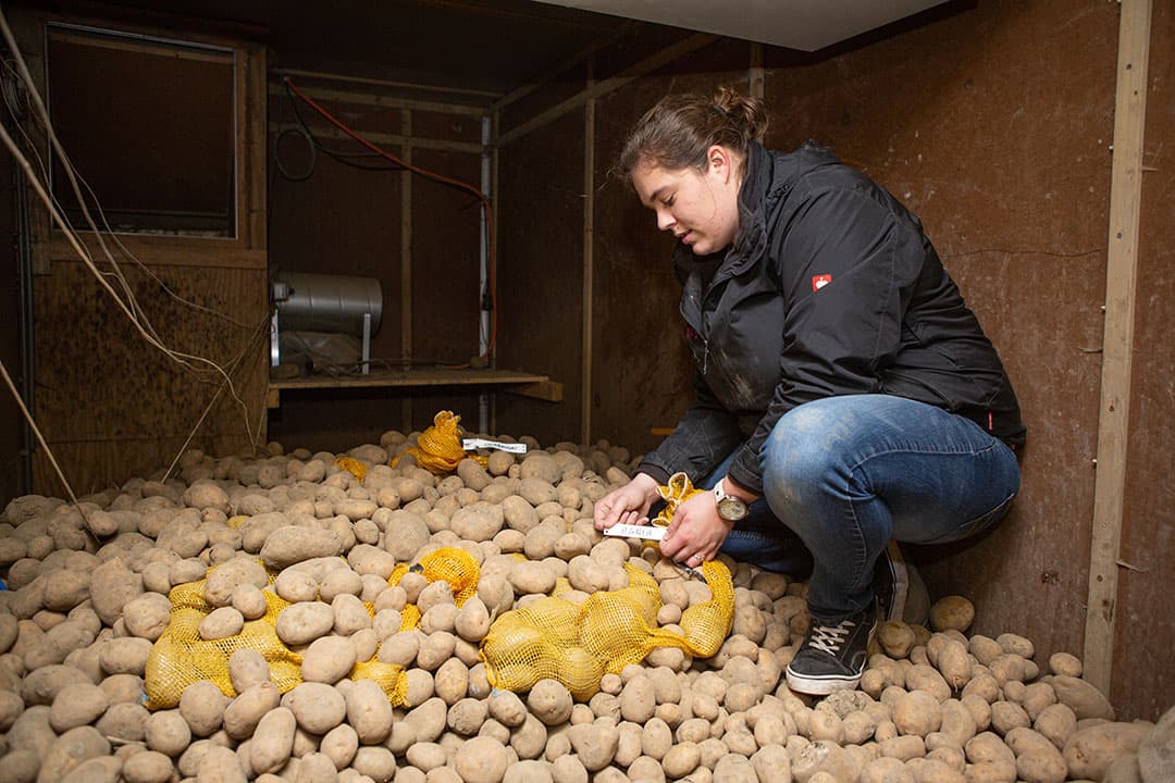 Foto: Peter Roek