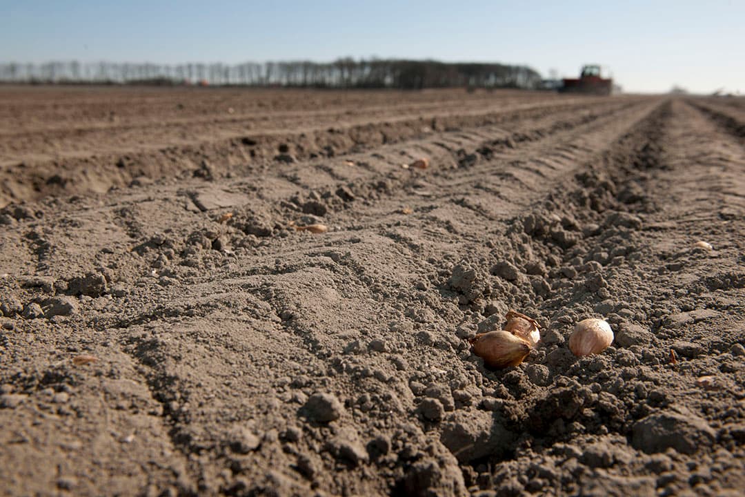 Voorjaarswerkzaamheden op het land. - Foto: Mark Pasveer