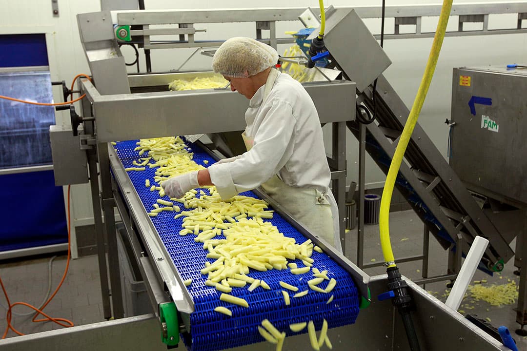 Akkerbouwbedrijf dat zelf frites snijdt van de fritesaardappelen. De coronacrisis raakt ook de (frites)aardappelmarkt én -keten hard. - Foto: Bert Jansen