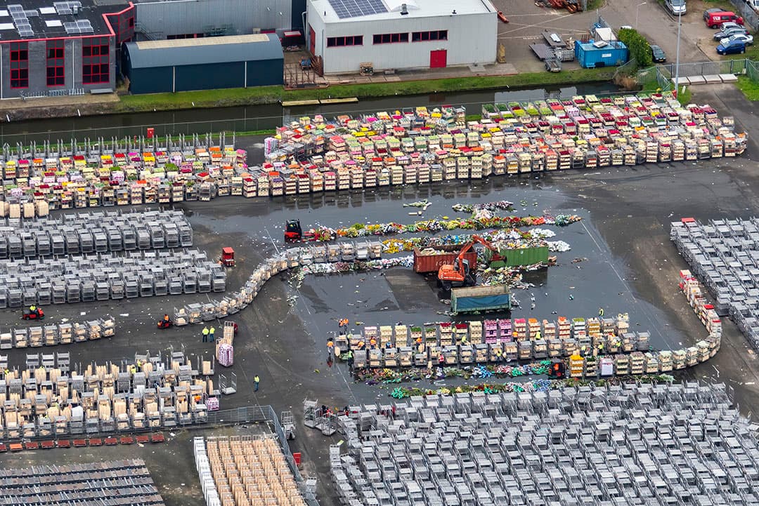 Luchtfoto van bloemen die worden doorgedraaid op de bloemenveiling Aalmeer. De Nederlandse sierteeltsector luidde de noodklok over de effecten van de coronacrisis. - Foto: ANP