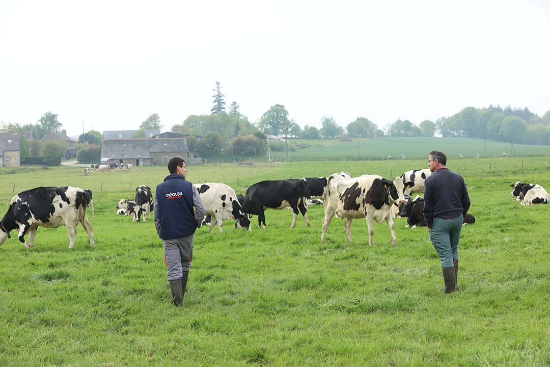 Biologisch melkveebedrijf in Bretagne, Frankrijk. - Foto: Henk Riswick
