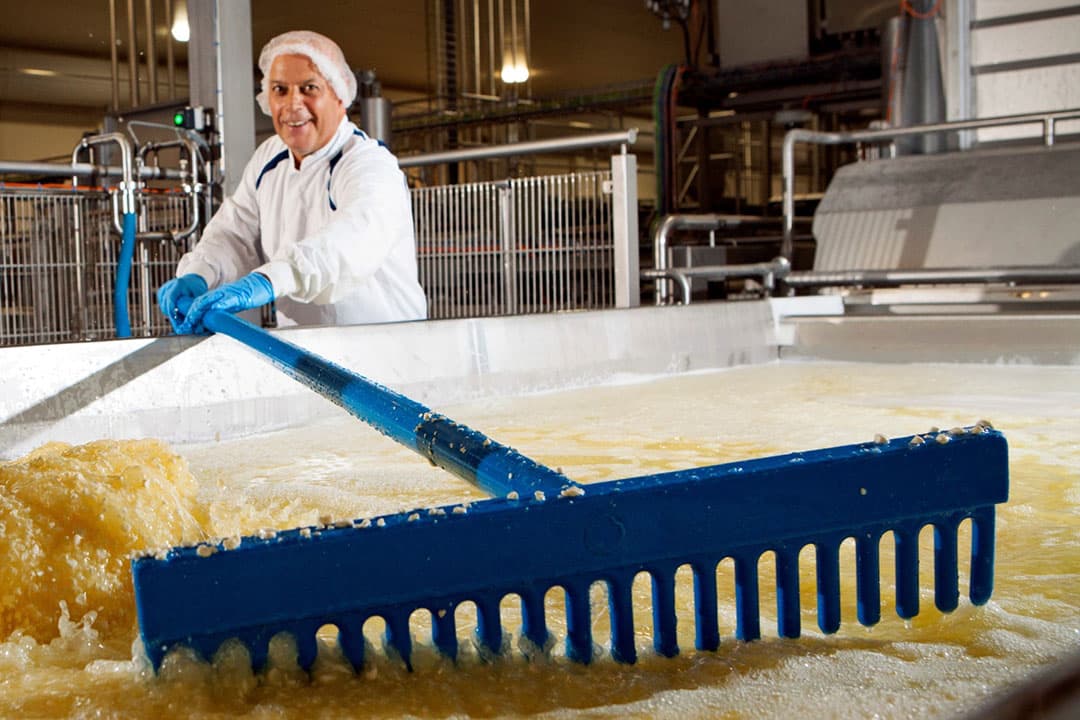 Fabriek Cono Kaasmakers in Westbeemster (N.-H.). - Foto: Boerderij