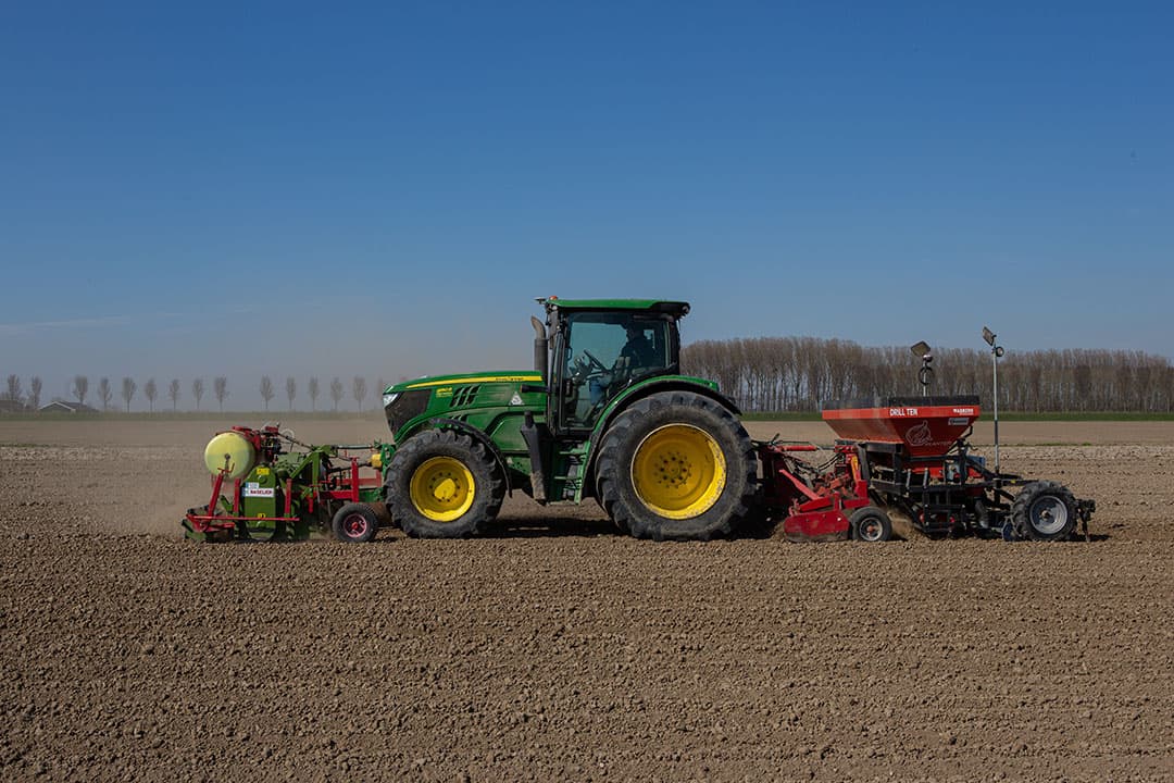 Voorjaarswerk 2020: plantuien planten in Dirksland (Zld.). - Foto: Peter Roek