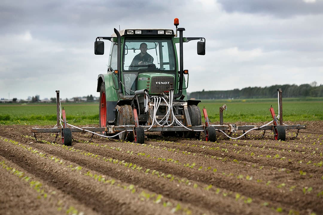 Foto: Roel Dijkstra