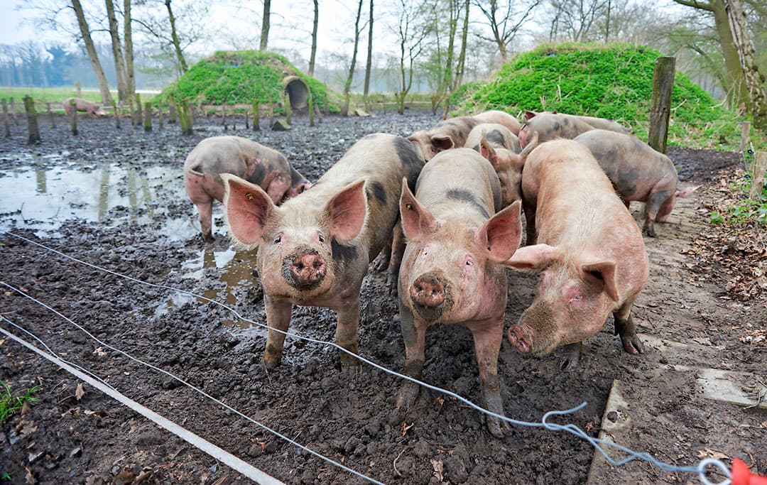 Foto: Van Assendelft Fotografie