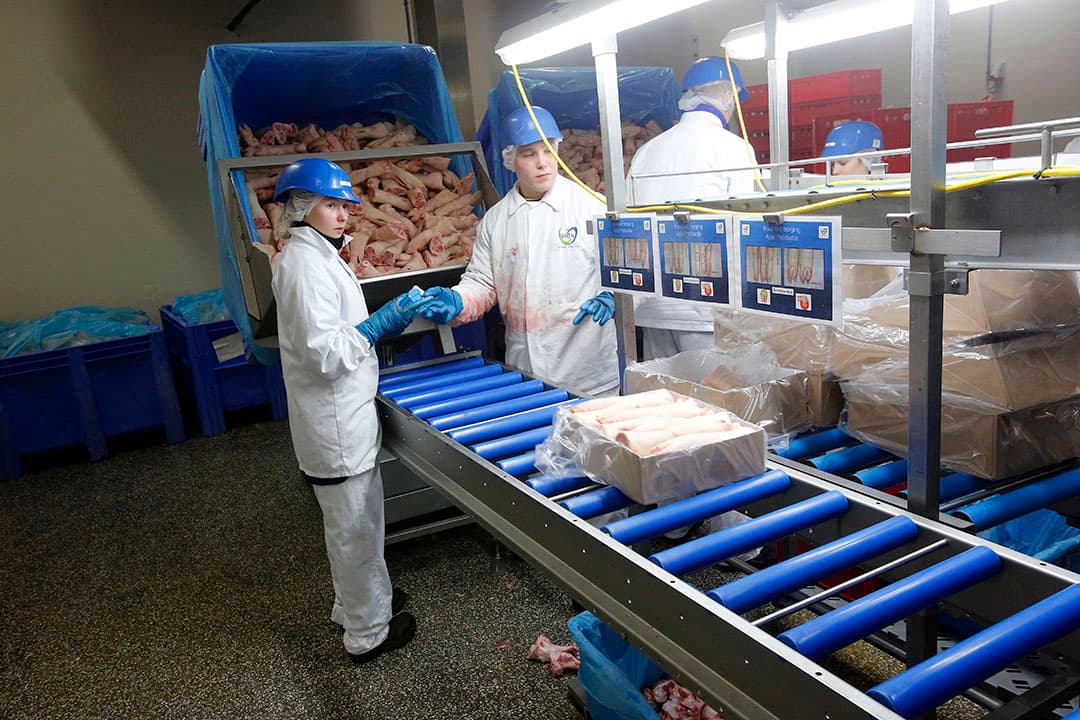 Het inpakken en laden van varkensvlees voor export. - Foto: Bert Jansen