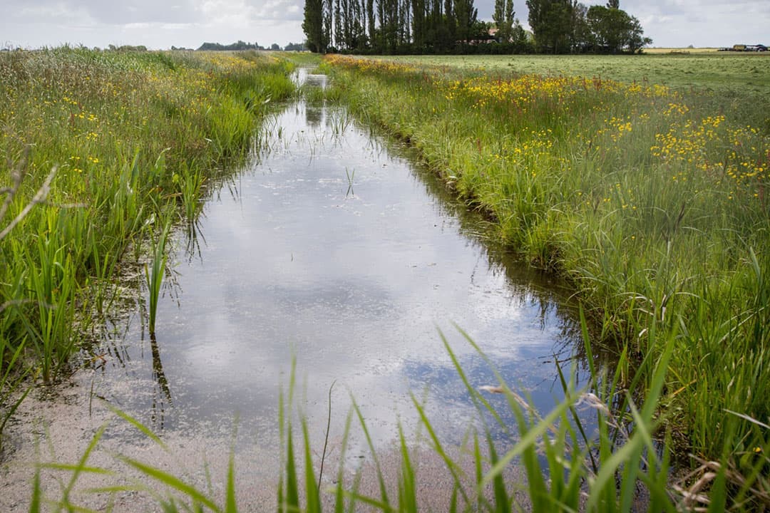 Foto: René den Engelsman