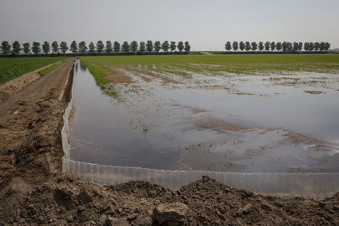 Foto: Peter Roek