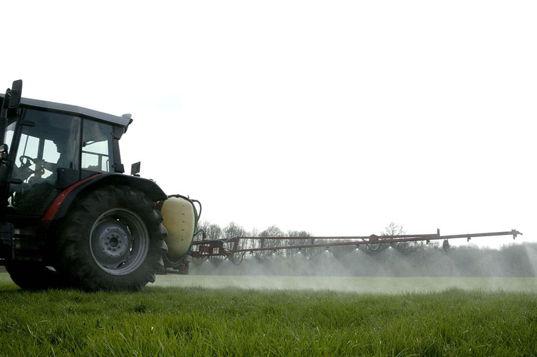 Volgens Corteva Agriscience lijkt dit voorjaar de onkruiddruk hoger dan normaal. - Foto: Harry Onstein