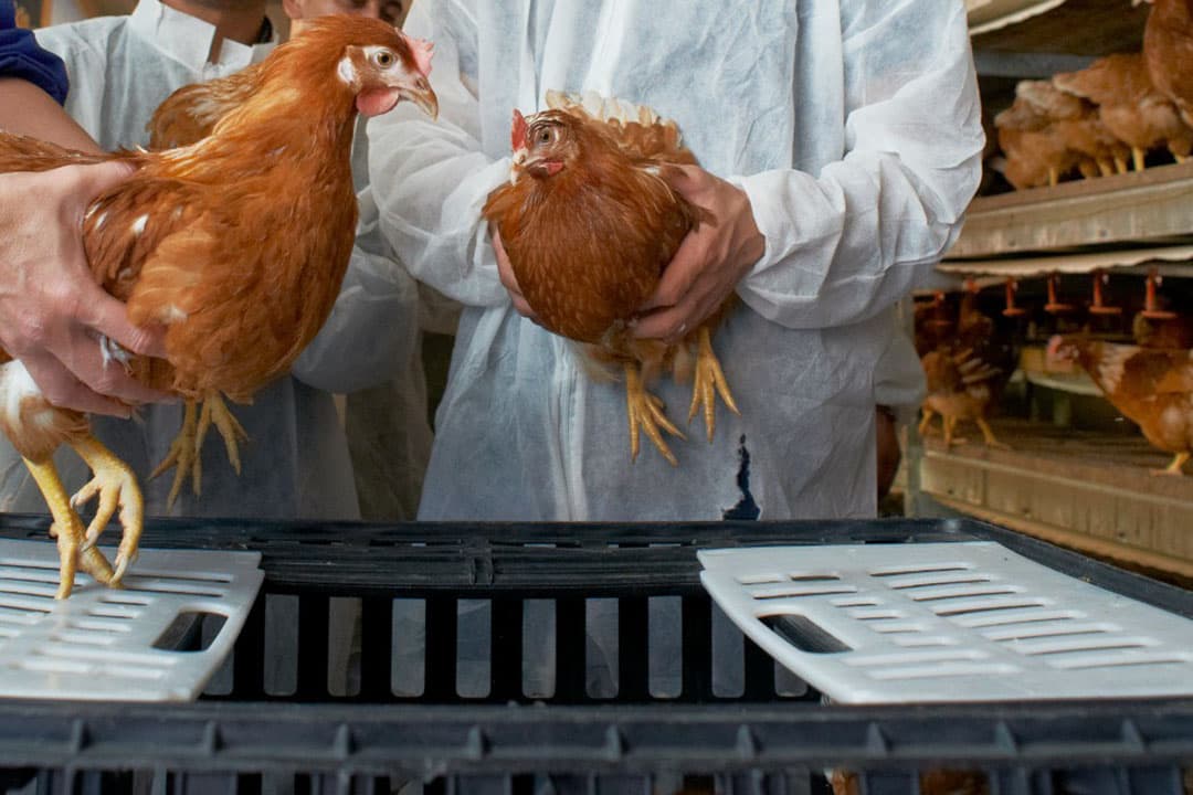 Foto: Van Assendelft Fotografie