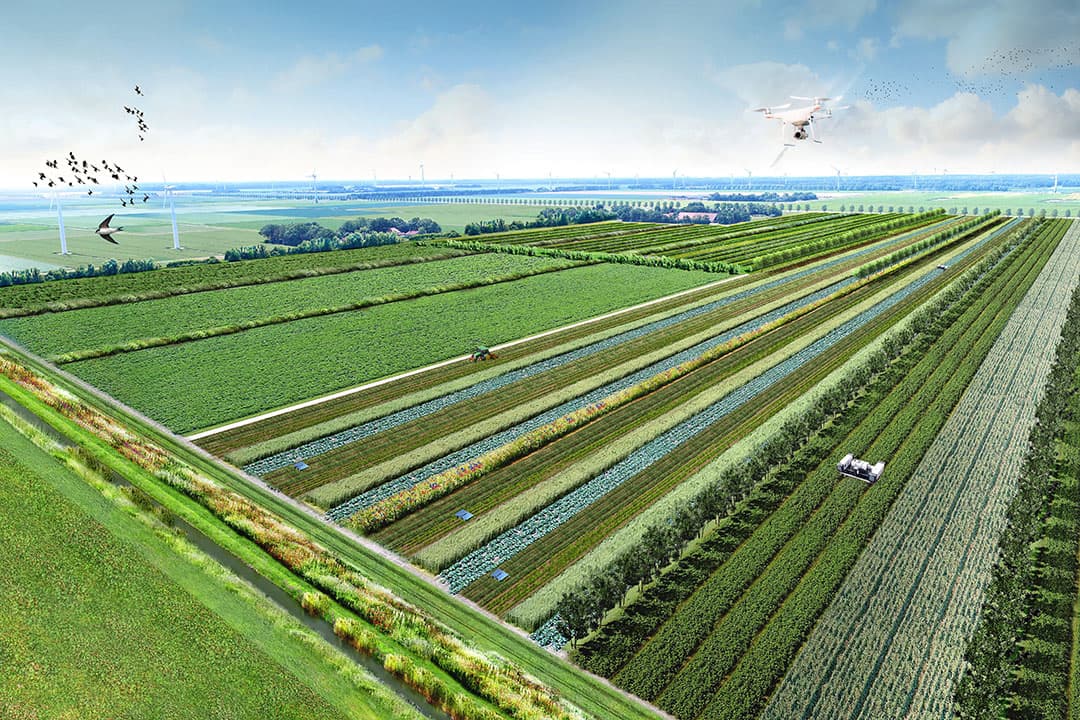 Impressie van Boerderij van de Toekomst. Zo kan een akkerbouwlandschap met strokenteelt er gaan uitzien.