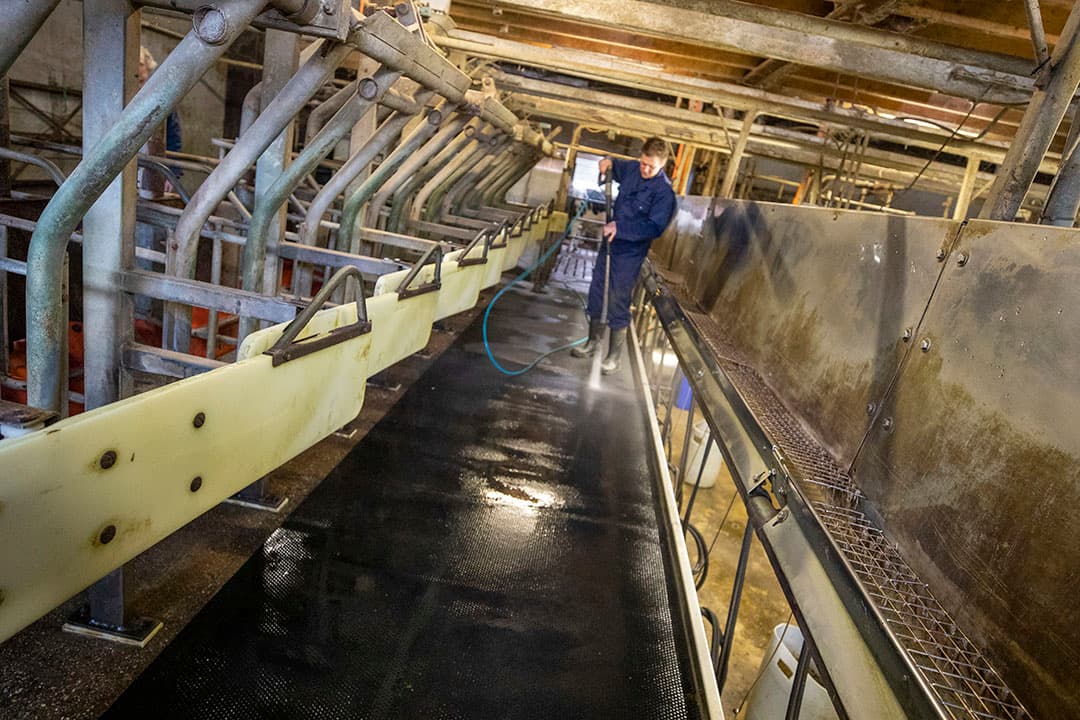 Nadat maatschap De Jong rubber had geplaatst op looppaden in de melkstal, zijn de problemen met wittelijndefecten gehalveerd. - Foto: Anne van der Woude