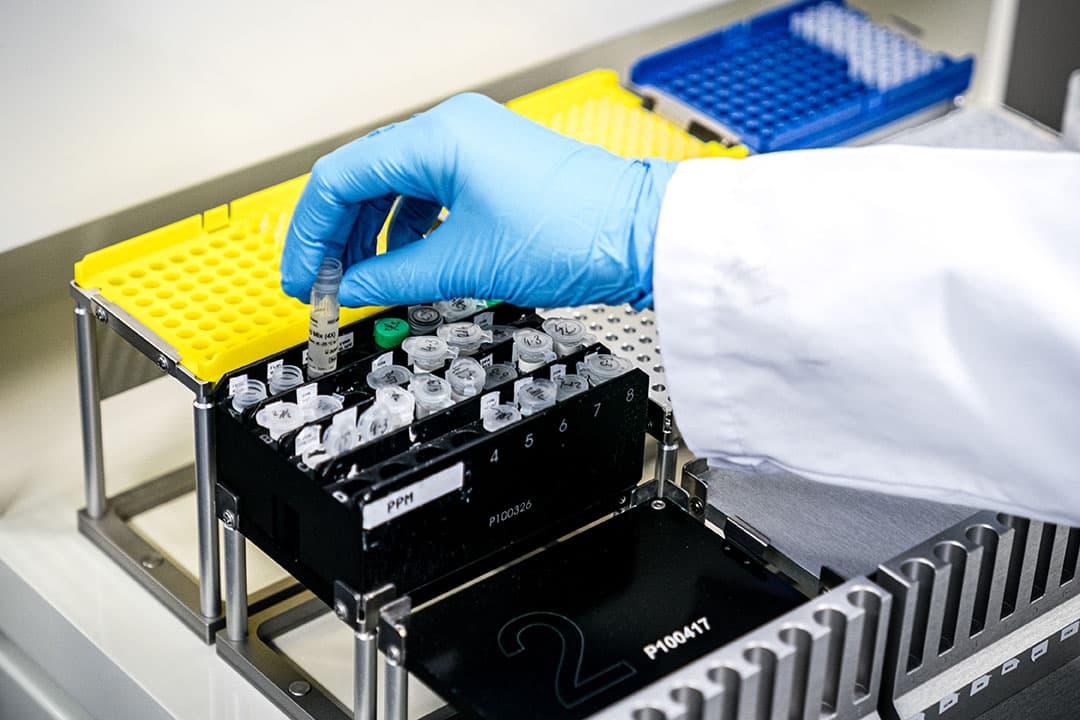 Het coronavirus is momenteel spelbreker op vele fronten, waaronder voor bijeenkomsten. Op de foto: labonderzoek waarbij wordt getest op aanwezigheid van het inmiddels gevreesde virus. - Foto: ANP