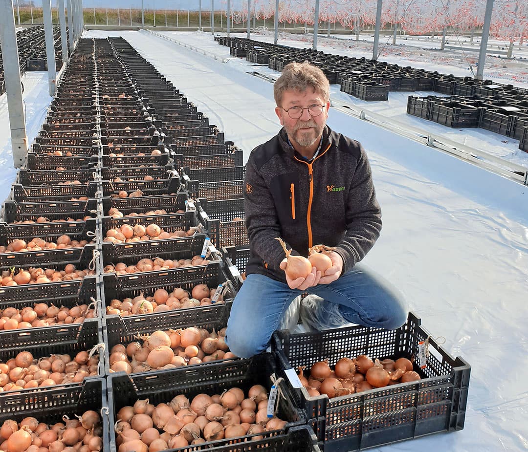 Hein Molenkamp gaat met pensioen. Hij zag het rendement van rassen groeien. - Foto: Hazera