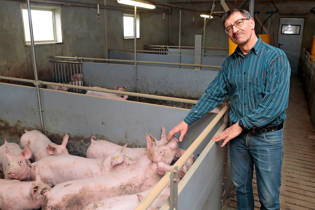 Varkenshouder Edy van de Fliert. - Foto: Ton Kastermans Fotografie