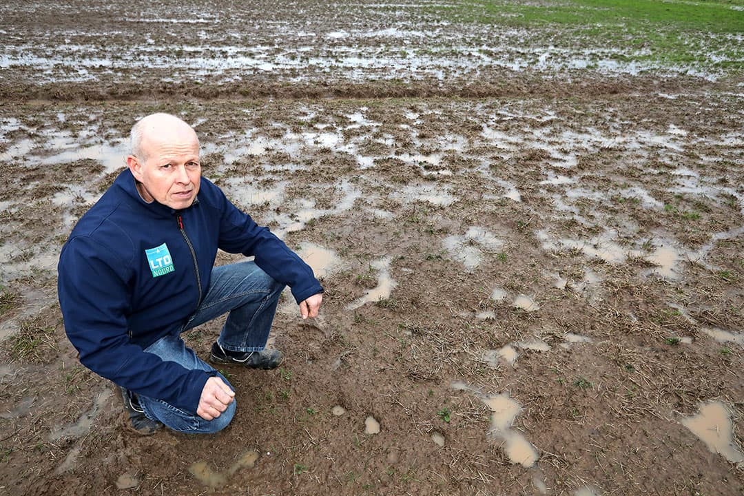 Jan van Huet: "In de toekomst gaan we misschien stroken mais aanleggen om de verspreiding van muizen tegen te gaan." - Foto: Henk Riswick