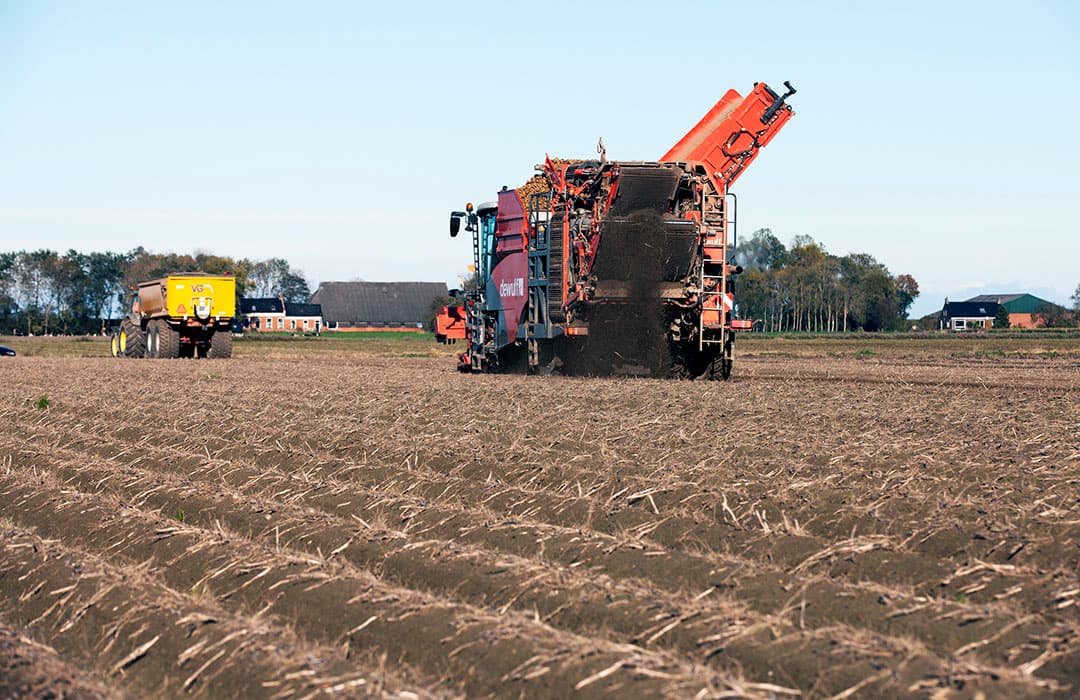 Foto: Hans Banus