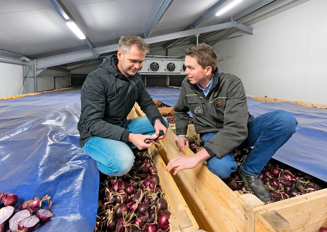 Jeffrey Mul (rechts) bekijkt de rode uien van oogst 2019 met Marcel Bennink van Engie. Op de achtergrond is de condensdroger te zien. De heren zijn tevreden met wat er in de kisten ligt. De kleur van het product is goed en de kiemrust in orde. - Foto: Ruud Ploeg