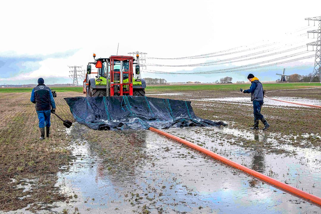 Bestrijden van muizenschade in december 2019 in het Groningse Noordbroek. - Foto: Koos van der Spek