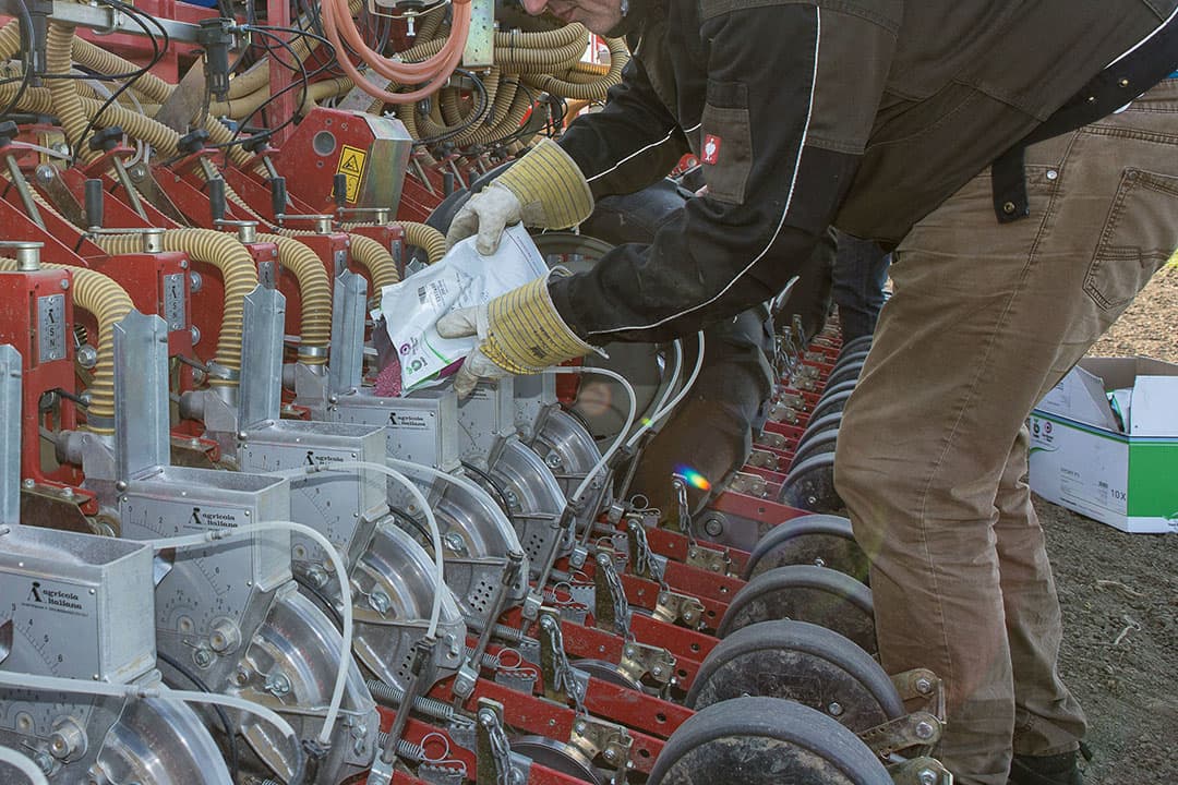 Het bijvullen van de machine met uienzaad. - Foto: Peter Roek