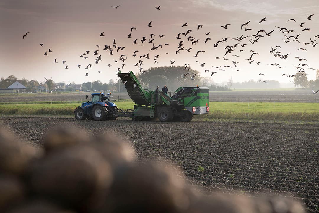 Foto: Mark Pasveer
