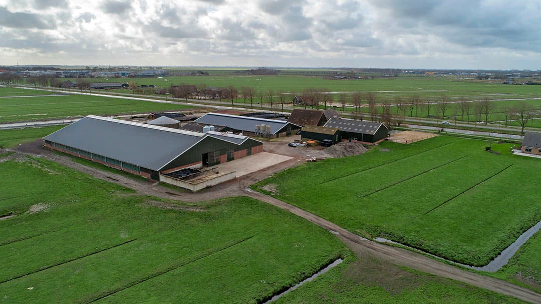Keuzes pakken goed uit, ganzen wel probleem