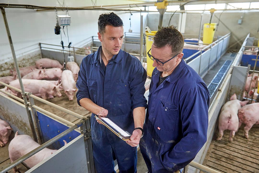 Foto: Van Assendelft Fotografie