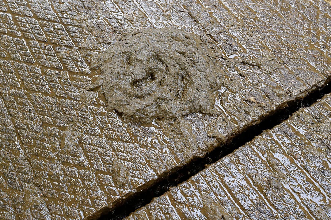 Emissiearme D1-vloer van Berkel Beton. - Foto: Bert Jansen