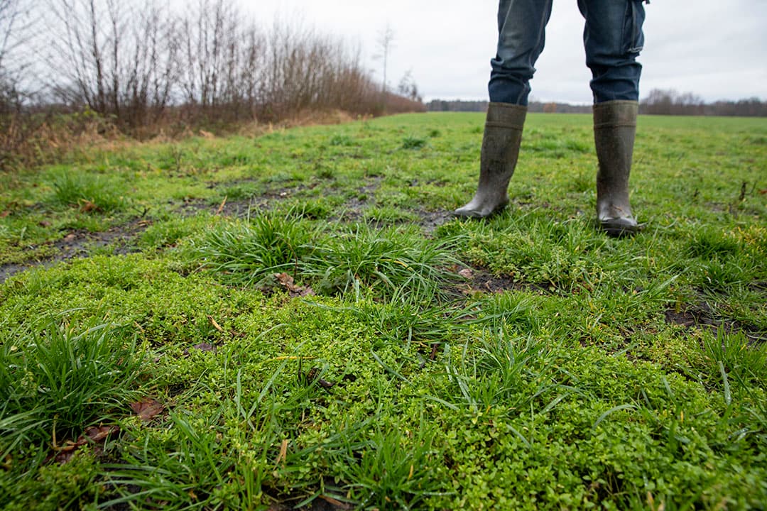 Foto: Anne van der Woude