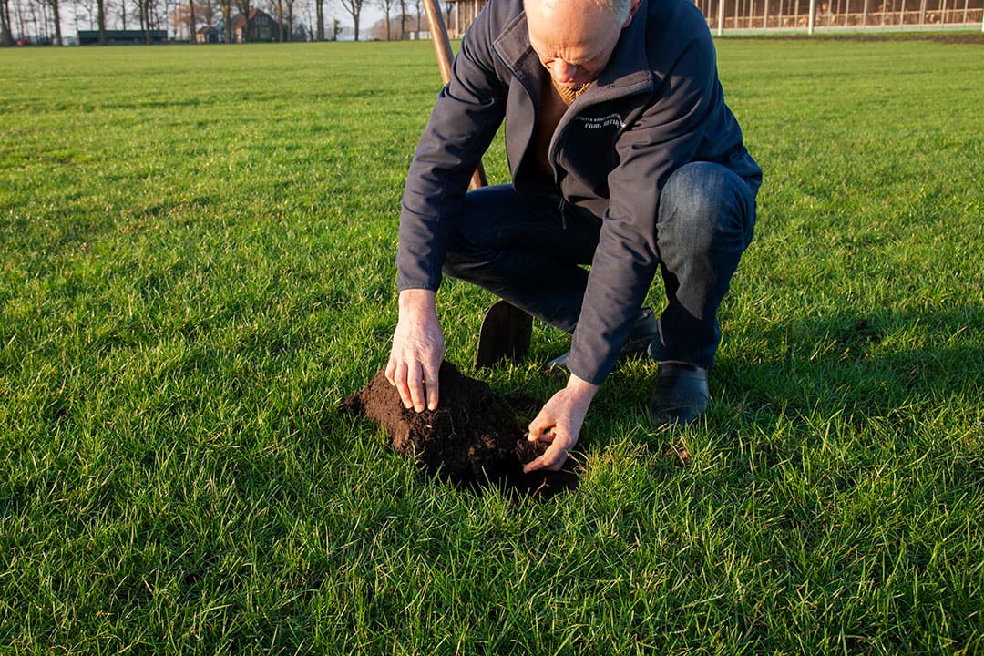 Veehouder Bouke Meijer kijkt goed naar het draagvlak van de grond en de ontwikkeling van de wortels voor de eerste bemesting. - Foto: Hans Banus
