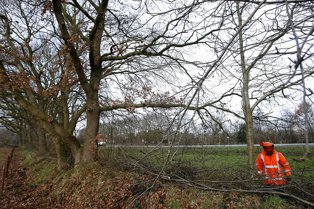 Foto: Hans Prinsen