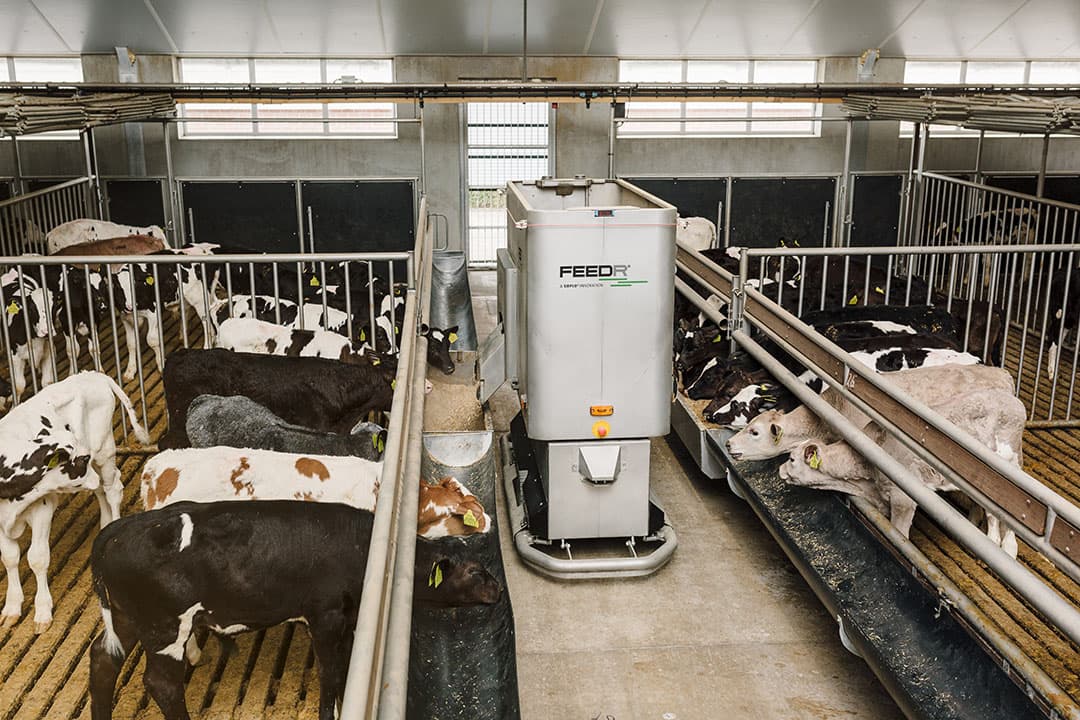 De nieuwe voerrobot van Sieplo in actie. - Foto: Sieplo Lunteren